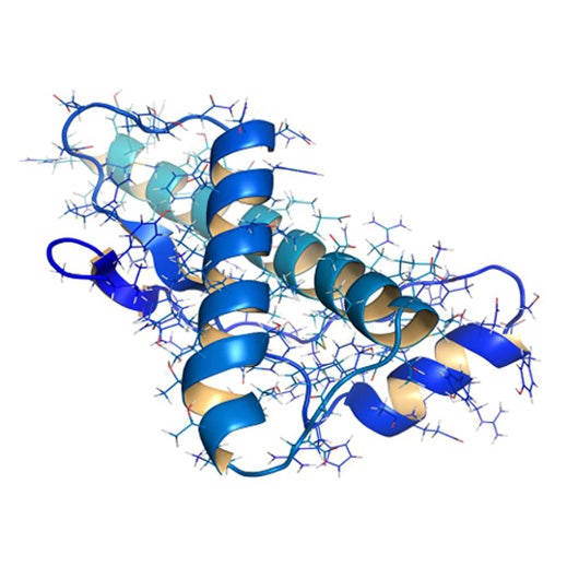 Peptide mapping – navigating the way through structural characterisation