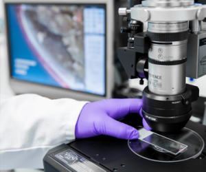 Limit tests by XRPD: detection of low percentage of polymorphic entities in fixed-dose combination tablets