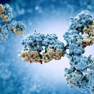 Analytical Solutions for Biologics