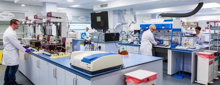 Global Analytical Laboratory Testing Services