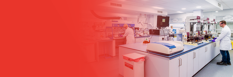 Global Analytical Services