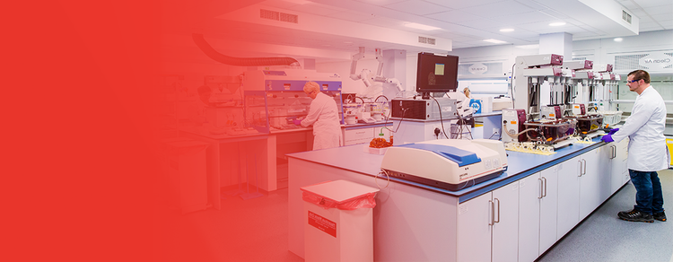 Global Analytical Facilities in the US