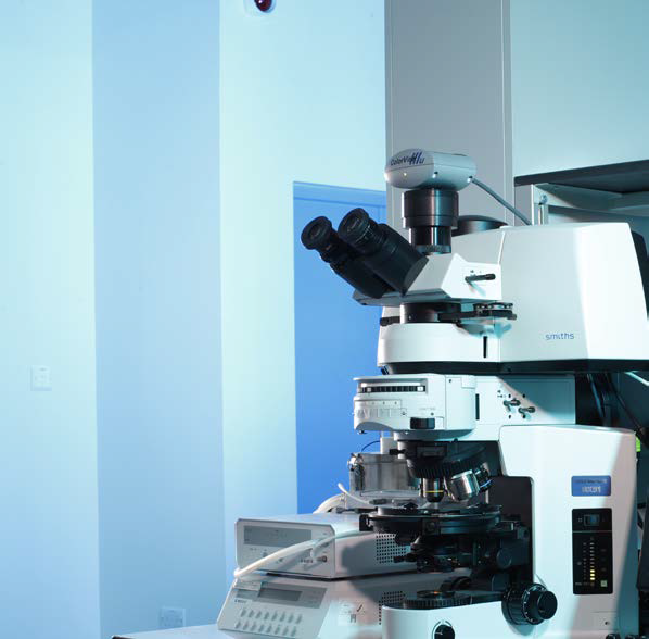 The Effect of Crystal Orientation on Raman Spectra