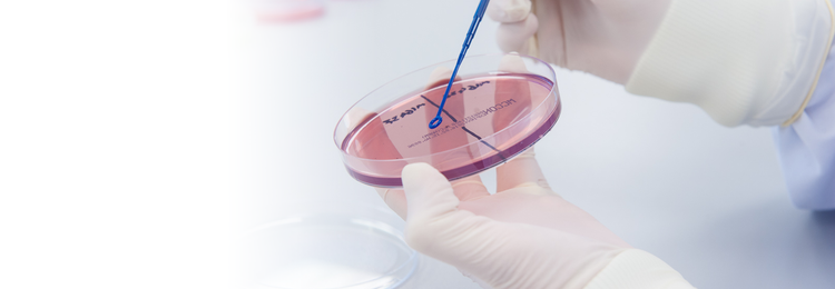 Preservative Efficacy Testing
