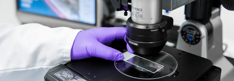 Solid State Analysis