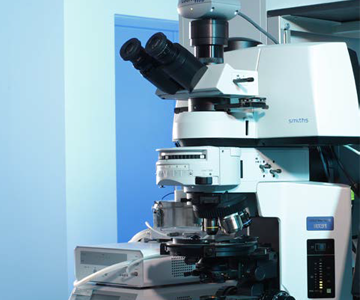The Effect of Crystal Orientation on Raman Spectra