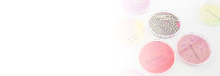 Microbial Limit Testing and Validation