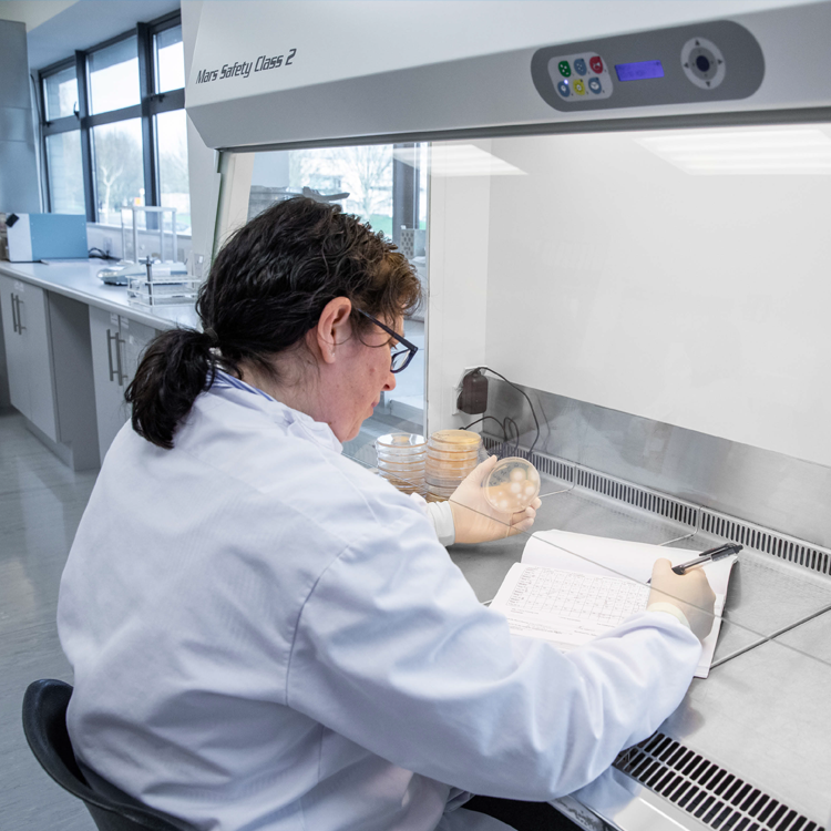 Environmental Monitoring in Pharmaceutical Manufacturing: Safeguarding Quality with Almac’s Expertise