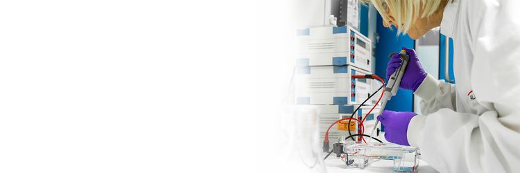 Enzyme Screening