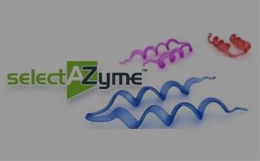 Enzyme Screening Kits – selectAZyme™