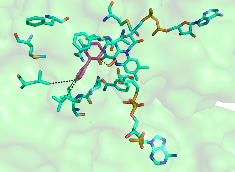 Spatial requirement for PAMO for transformation of non-native linear substrate