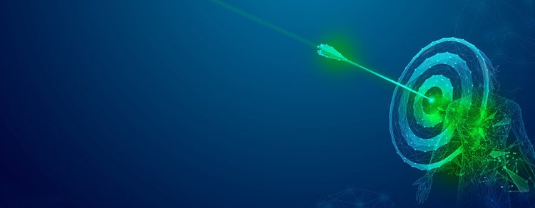 Targeted Theranostics