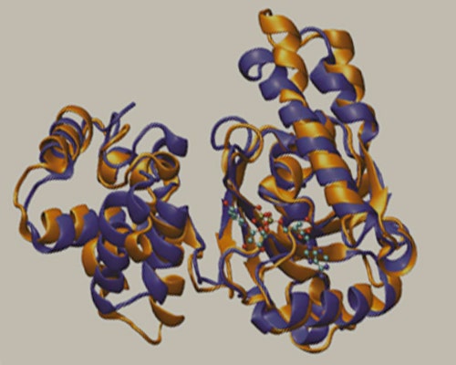 Integrated Enzyme Technologies Brochure