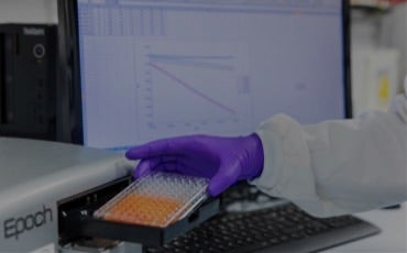 Enzyme Screening