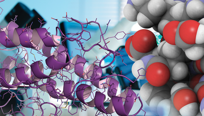 Superior Peptide and Protein Solutions