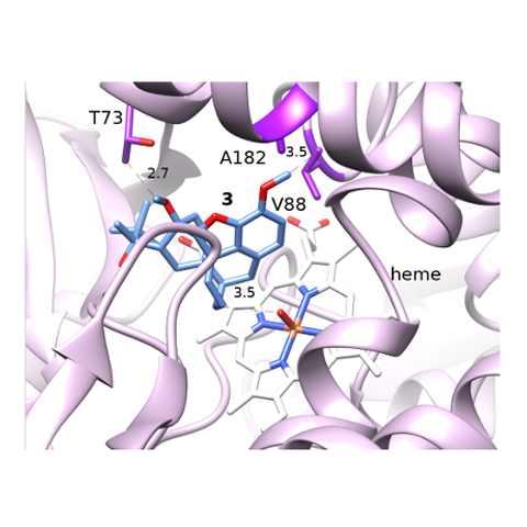 Enzyme Screening and Engineering for N- and O-Demethylation: Key Steps in the Synthesis of Buprenorphine