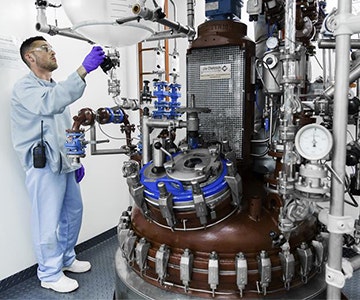 Late Phase Development and Manufacture