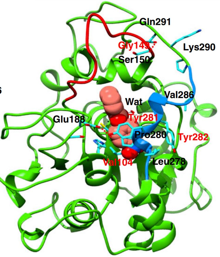 Artificial cysteine-lipases with high activity and altered catalytic mechanism created by laboratory evolution