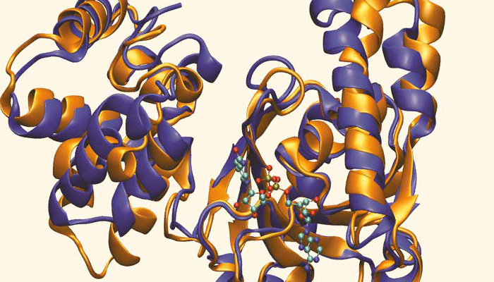 Think Almac…Integrated Enzyme Technologies