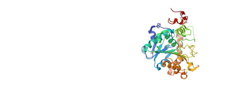 Immobilised CalB for Pharmaceutical Manufacturing
