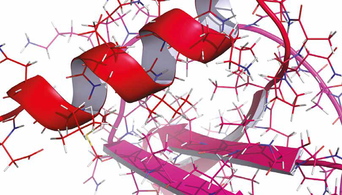 Comprehensive Chemokine Services