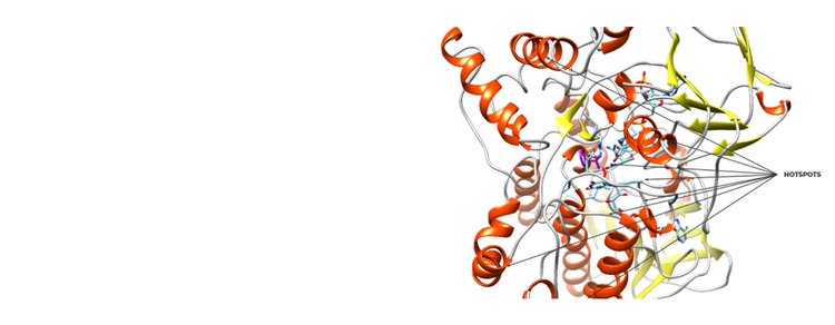 Smart Site Saturation Mutagenesis