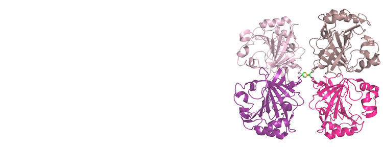Enzyme Engineering