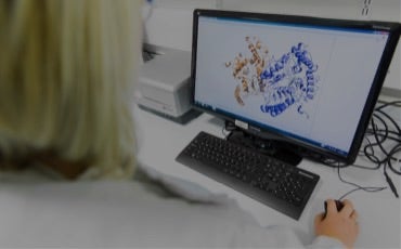 Biotransformation Process Development