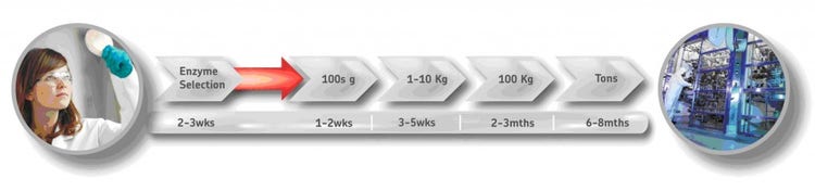 Biotransformation Process Development