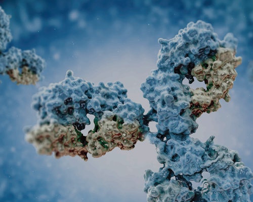 Analytical Solutions for Biologics