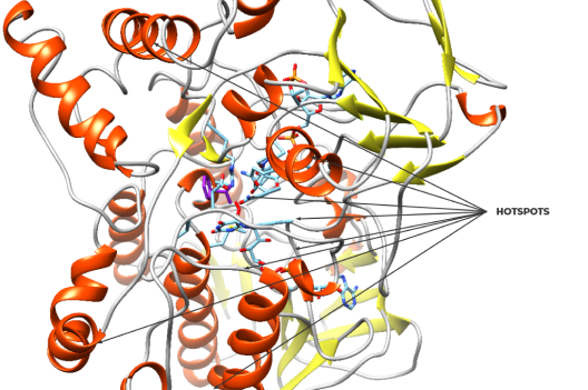 Smart site saturation mutagenesis