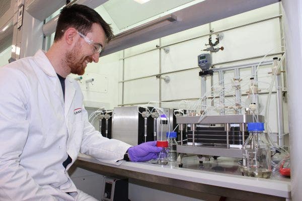 Custom & Flow Chemistry