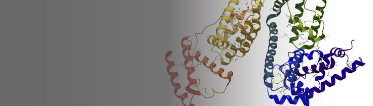 Boulder Peptide Symposium