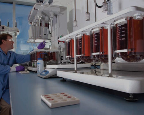 Global Analytical Services