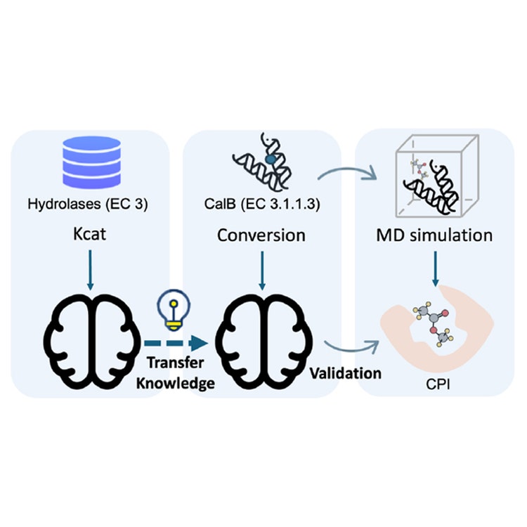 BioStructNet: Structure-Based Network with Transfer Learning for Predicting Biocatalyst Functions