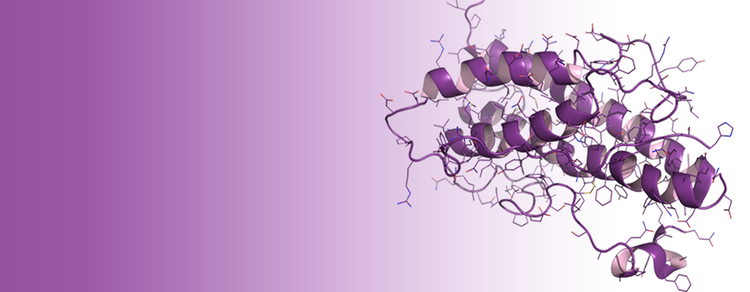 Custom Peptide Synthesis for Research Use