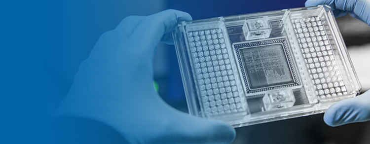 Specialist Catalogue Peptides for Research Use