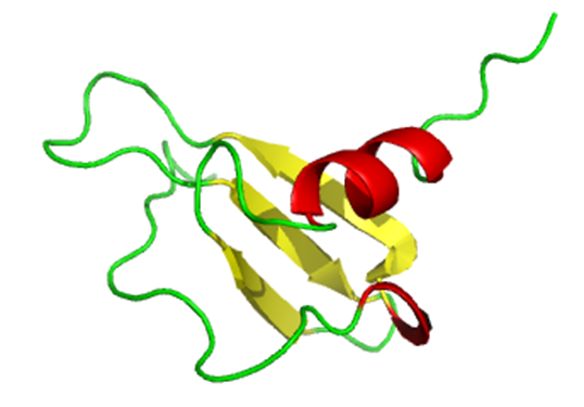 Chemical Synthesis of Chemokines accessing Novel Research Agents