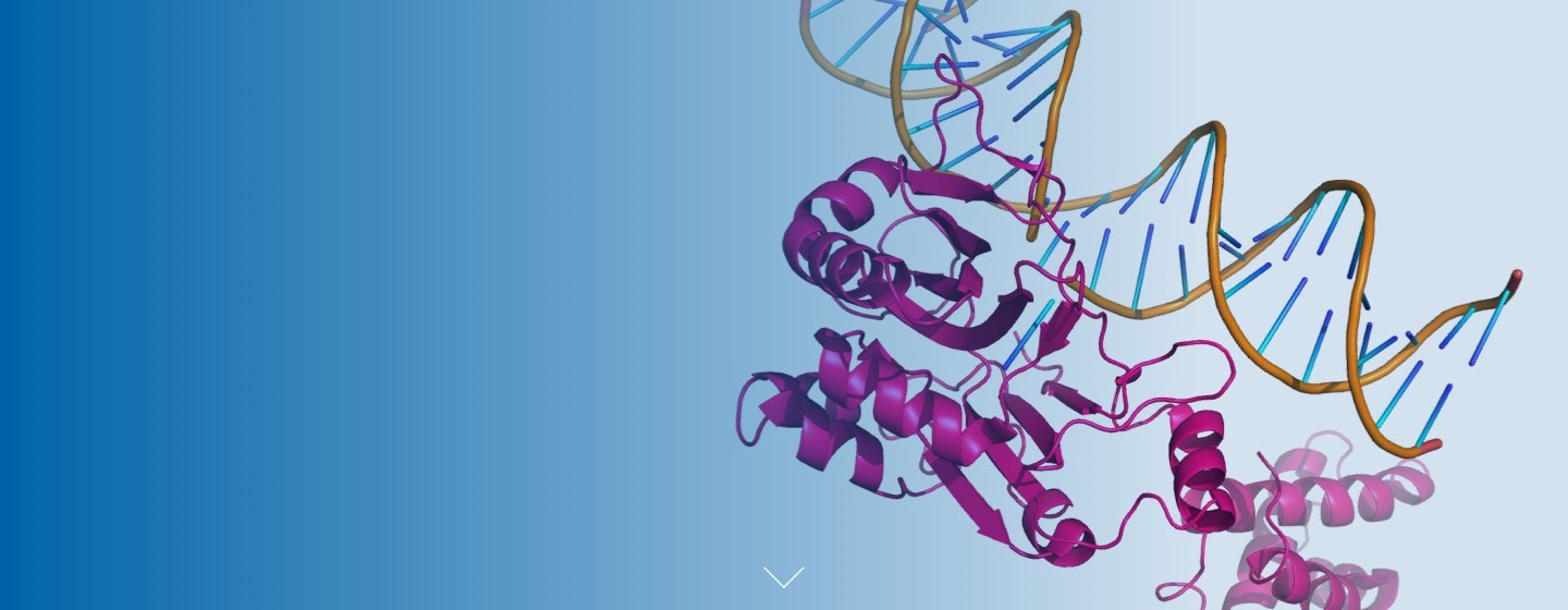 Synthesis of single stranded  RNA oligonucleotides Tablet Image
