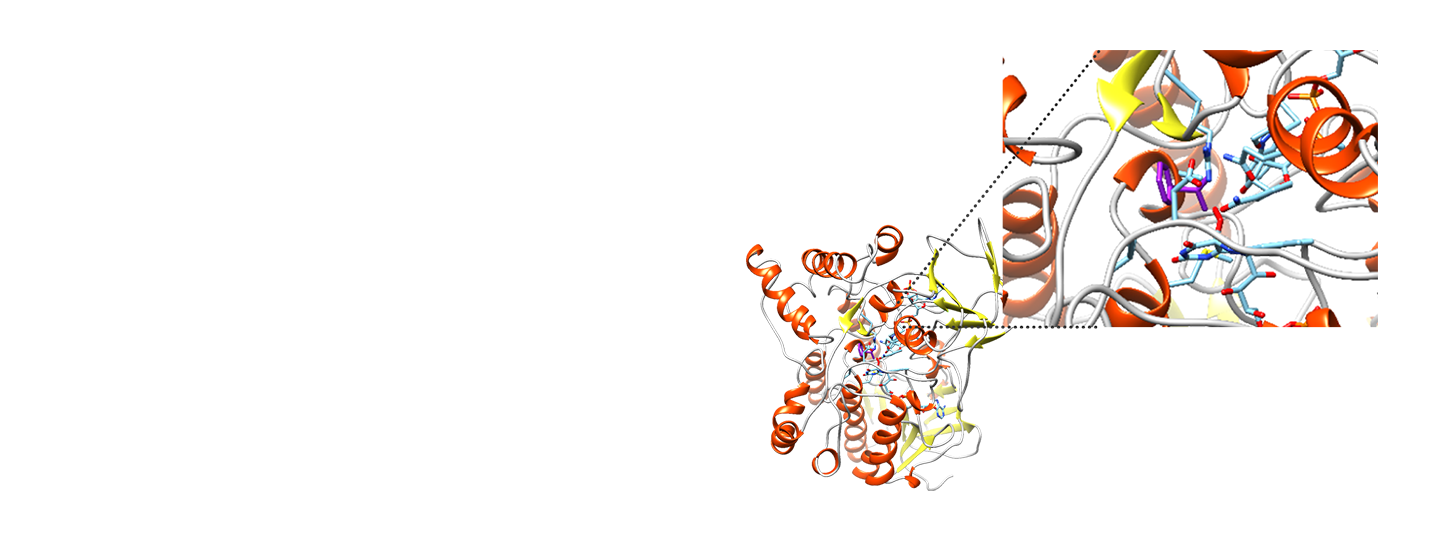 Rational Enzyme Design Tablet Image