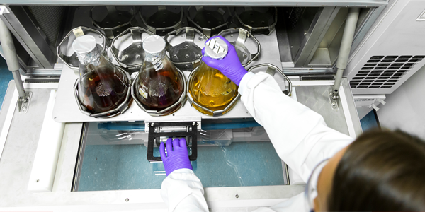 Immobilised CalB - How We Support You