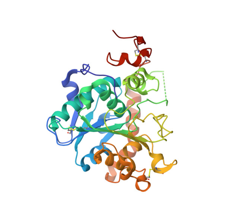 Immobilised CalB for Pharmaceutical Manufacturing Mobile Image
