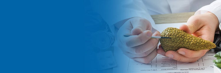 Accelerating Outcomes with a Pancreatic Cancer Adaptive Platform