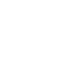 Compliance & Security Icon
