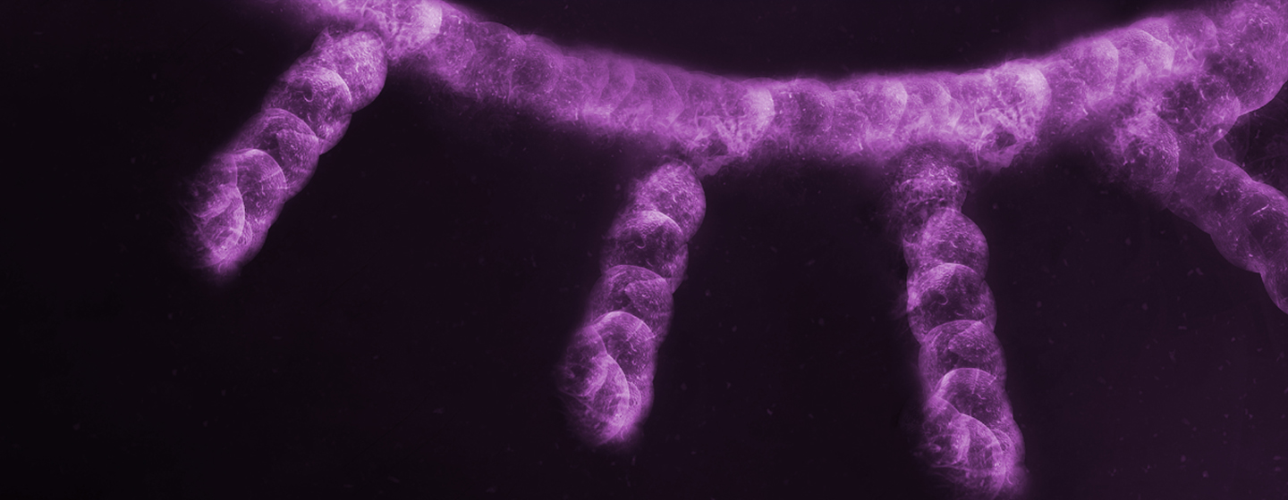 Almac optimised workflow for Illumina TruSeq® RNA Exome Panel Tablet Image