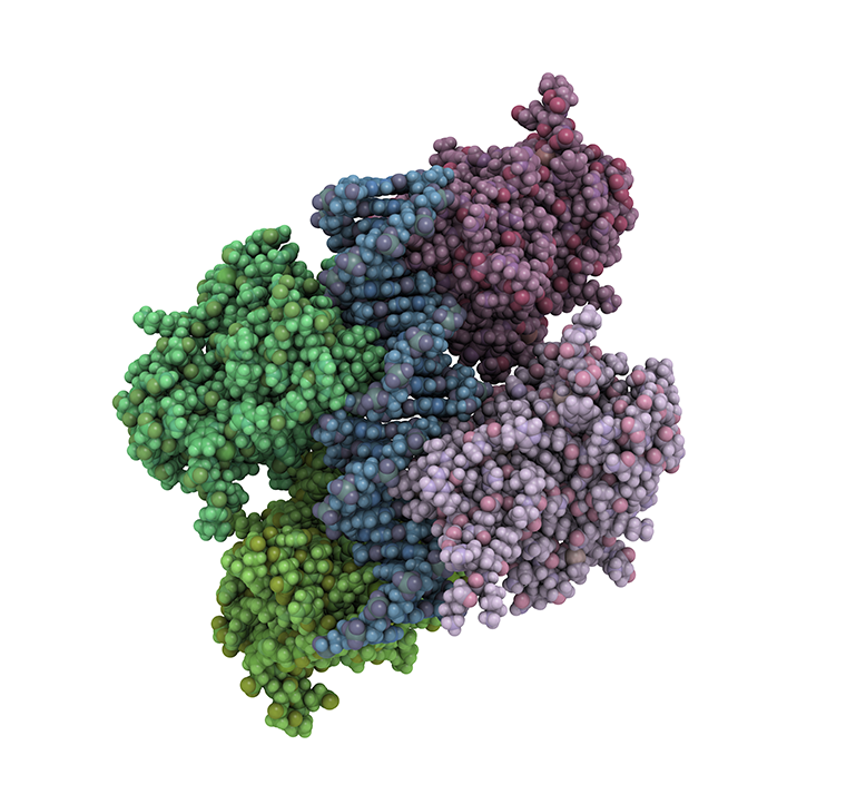 Almac Proteomics Service Mobile Image