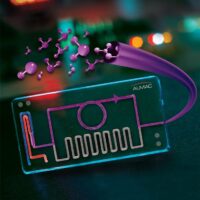 Ritter reactions in continuous flow catalysed by a solid-supported sulfonic acid catalyst