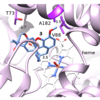 Enzyme Screening and Engineering for N- and O-Demethylation: Key Steps in the Synthesis of Buprenorphine