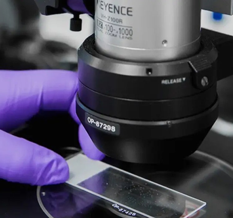 Preformulation Services