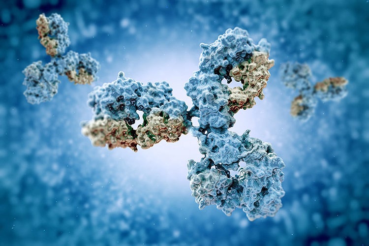 Analytical Solutions for Biologics